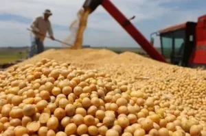 Cuáles son los productos con retenciones cero hasta el 31 de octubre