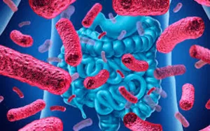 La alteración de los ecosistemas de microbios afecta a millones de personas en todo el mundo