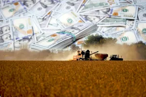 Las corporaciones rurales enojadas: la eliminación temporal de las retenciones sólo fue ganancia para las grandes cerealeras