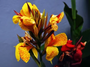 Lunes bien de primavera y termómetro en alza a lo largo de la semana