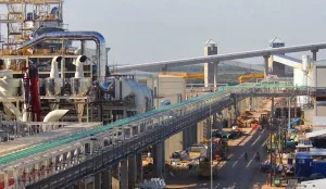 El Grupo Grassi con sede en Rosario y la multinacional Cargill en alianza para quedarse con Vicentin