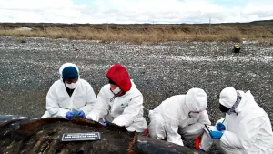 Un equipo de biólogas del CONICET
