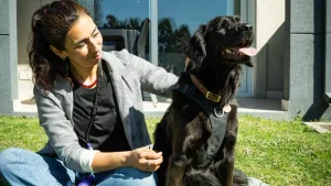 Wyndham Garden Campana: un hotel pet friendly con estilo y confort