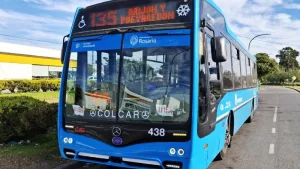 colectivos y bicicletas públicas se podrán usar de forma gratuita