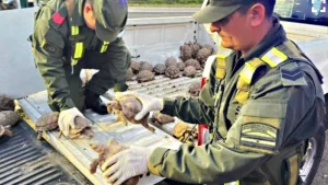 personal de Seguridad Vial