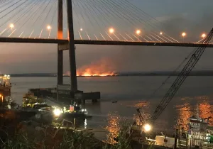 Cámara Federal de Paraná revocó la absolución de 43 acusados por los incendios en las islas y ordenó seguir investigando