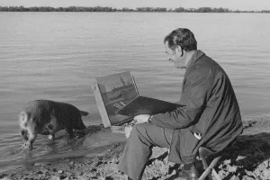 La próxima semana se viene el Salón Nacional de Arte Ambrosio Gatti 2025