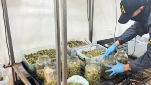 Megaoperativo antidrogas en Rosario y la región: 21 allanamientos y 16 detenidos