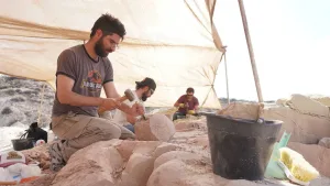 Tras la expedición en el fondo del mar, el Conicet buscará restos fósiles de dinosaurios "en vivo" en la Patagonia