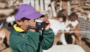 Cómo es “Corazón americano”, la serie con la voz de Graciela Borges que cautivó al público de Europa