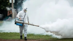 En VGG acciones para prevenir el Dengue