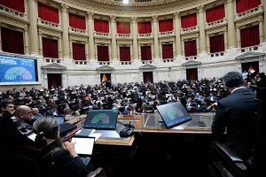 Diputados aprobó la nulidad del decreto que suspendió la ley de emergencia en Discapacidad