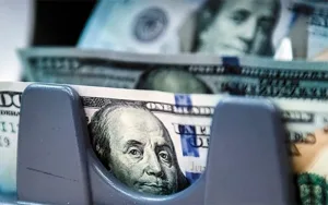 Euforia en los mercados: el dólar se desplomó, acciones y bonos volaron tras el triunfo de la Libertad Avanza