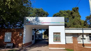 Tragedia y conmoción en Monte Vera: murió un hombre tras ser atacado por un gigantesco enjambre de abejas