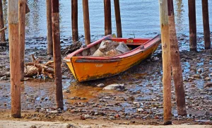 Un sábado con lluvia intermitente hasta el mediodía, domingo con sol y algunas nubes para ir a votar y próxima semana de arranque fresco