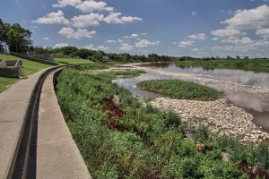 peces mueRtos Río salado santa fe