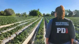 Explotación laboral en Arroyo Leyes: prisión preventiva por 150 días para el imputado