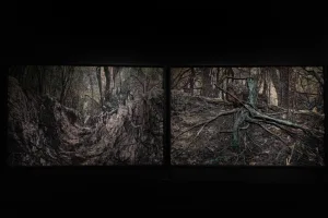 La obra monumental del grupo Mondongo llega al Museo Castagnino de Oroño y Pellegrini