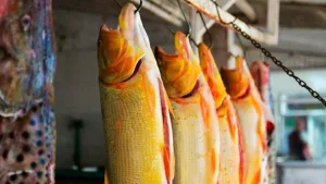 Puestos de venta de Pescados