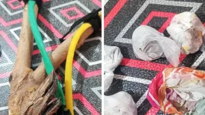 la gomera y la droga