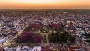 Media sanción para plantar un millón de árboles en diez años en Santa Fe