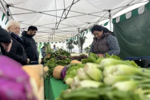 El Biomercado será parte de la primera BioFeria en Rosario