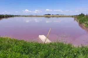 Piden investigar el vertido de efluentes industriales sobre el arroyo Espinillo, afluente del Paraná