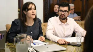 Concejo Municipal: se llevó adelante la segunda reunión de trabajo por la autonomía