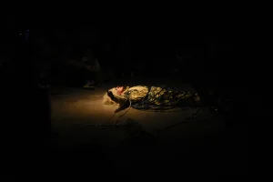 Vuelve Tercerescena con la presencia de “La Celestina, tragicomedia de Lita”, un imperdible cordobés