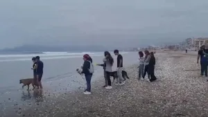 Chile: encontraron un cuerpo en la zona donde buscaban al adolescente sanjuanino