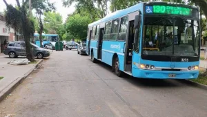 Estaba robando y lo vio una Policía desde un colectivo: se bajó y realizó disparos disuasivos