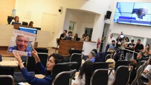 Fentanilo contaminado: el Concejo Municipal recibió a la comisión investigadora