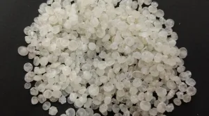 Un equipo del Conicet y una empresa de Misiones desarrollan bolsas biodegradables a partir de almidón de mandioca