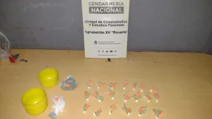 Siete detenidos y once imputados de una banda narcocriminal que trasladaba cuatro kilos de cocaína en Elortondo