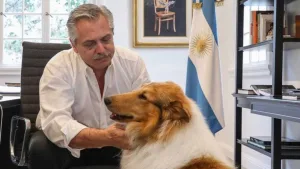 Murió Dylan, el perro de Alberto Fernández: el emotivo mensaje del ex presidente