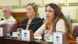 Fentalino contaminado: diputados provinciales aprobaron una declaración de apoyo a las familias de las víctimas