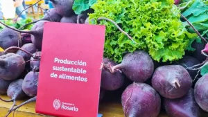 Colectividades: la Municipalidad entregando verduras agroecológicas