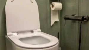 Todo un reflejo de la era libertaria: el papel higiénico fue el producto más vendido durante el CyberMonday 2025