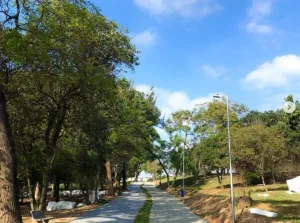 El misterio del “Maníaco del Arco Iris”: mató a 13 gays en Brasil y nunca lo pudieron atrapar