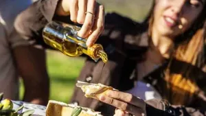 Oleoturismo en España: un viaje por el alma del olivo