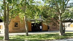 Clausuran un torneo de polo en Ellerstina por falta de habilitación y medidas de seguridad