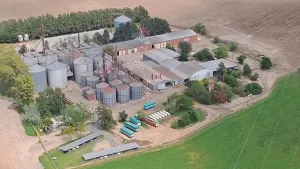 Alerta en el campo: el concurso de Careaga Hnos y Teglia sacude a productores de Alvear y la región