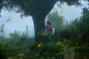 "Hijas del maíz", el documental que muestra a mujeres indígenas mexicanas ayudando a otras a transformar sus duras realidades