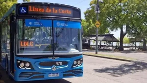 Línea de la Costa, colectivo