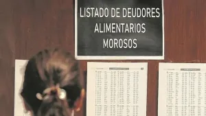 Autoridades de 16 provincias crean una red federal para perseguir morosos de la cuota alimentaria