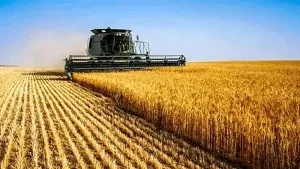 El puerto que abrió una nueva ruta: desde Timbúes despega el debut de trigo argentino a China