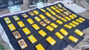 El secuestro de 53 kilogramos de cocaína