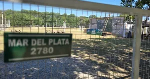Funes: un torneo para chicos terminó con disturbios protagonizados por grandes