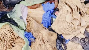 Escándalo rebozado en Santiago del Estero: las milanesas hechas de papel higiénico que nadie quiere masticar