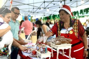 Fiestas con sabor local: el municipio lanza la Canasta Rosarina y presenta el Calendario Navideño